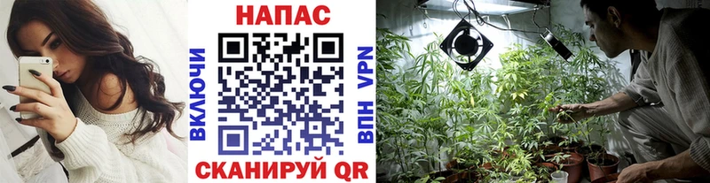 Каннабис Ganja  Купить  Дно 